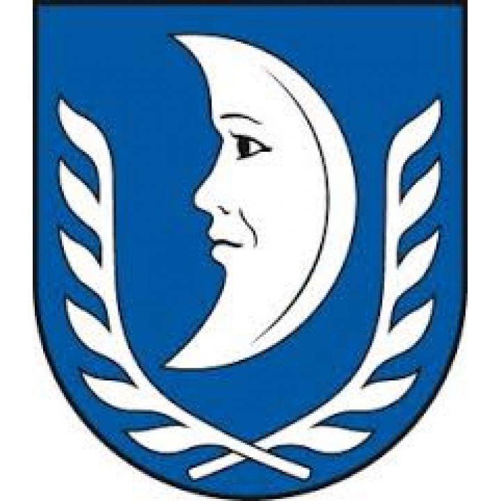 Správa audítora obce s účtovnou závierkou obce Tročany
